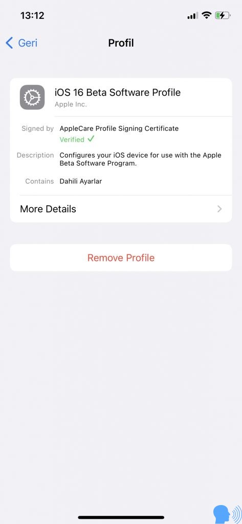 iOS 16 Beta Profile